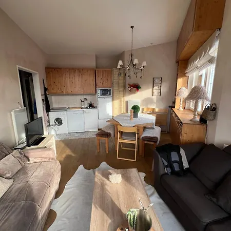 Bright Spacious 1 Bedroom In Snow 41m2 Apartment Avoriaz